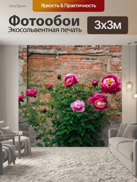 Фотообои пионы, расцветающие на фоне старой кирпичной стены, создают яркий контраст между природой и архитектурой