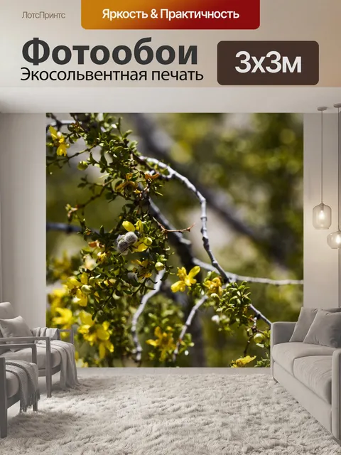 Фотообои Нечеткая серая пчела