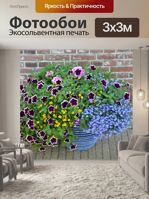 Фотообои Голландские цветы сады 92