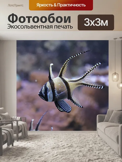 Фотообои Рыбы