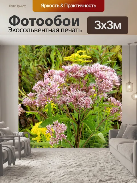 Фотообои Полевые цветы (15)