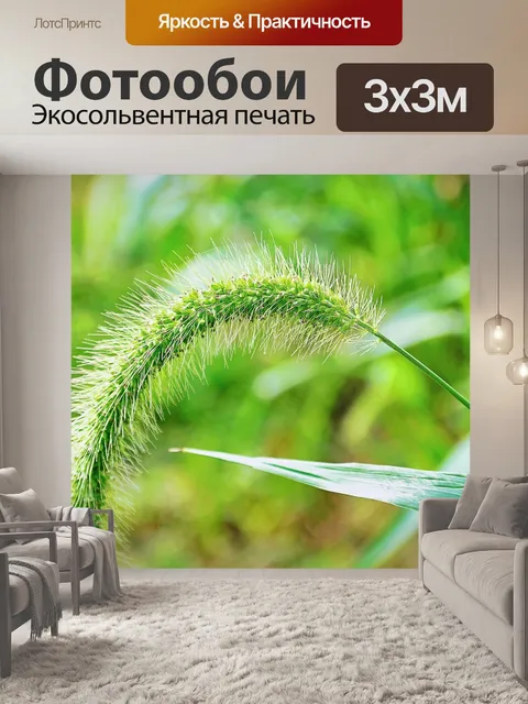 Фотообои Фонтан трава