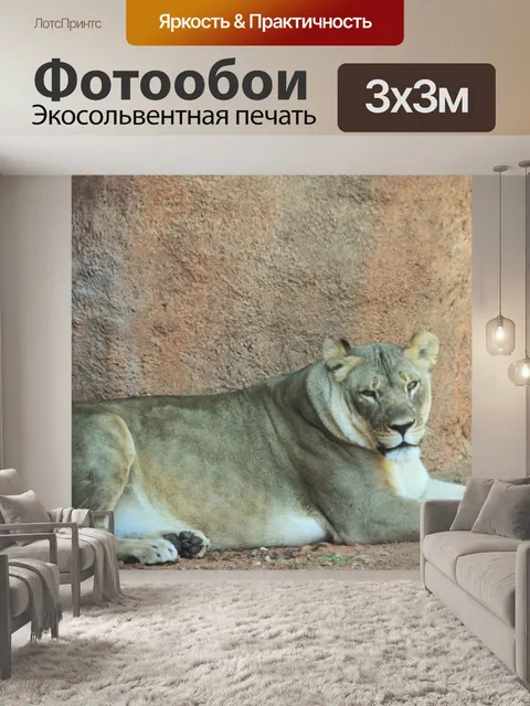 Фотообои Отдыхающая львица в зоопарке