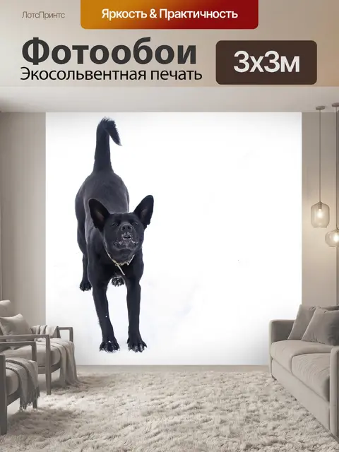 Фотообои Собака