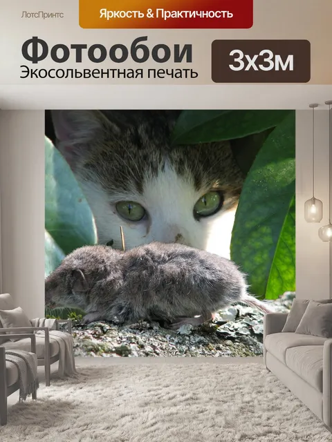 Фотообои Природа