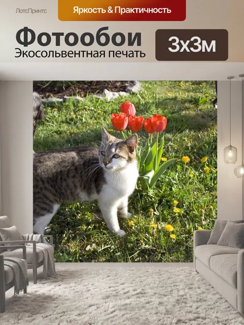 Фотообои Кошка