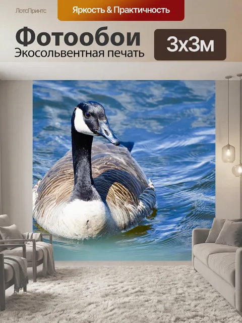 Фотообои Гусь