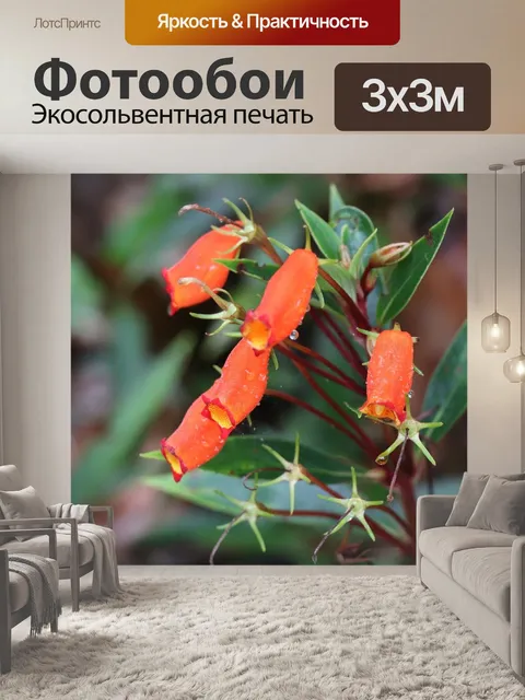 Фотообои Цветы