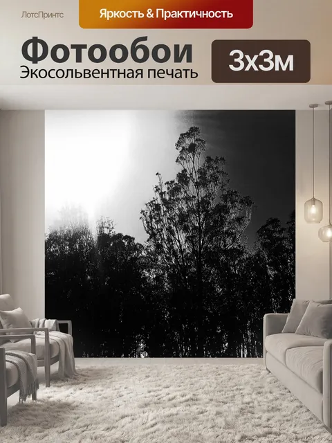 Фотообои сжигание солнце в черном и белом