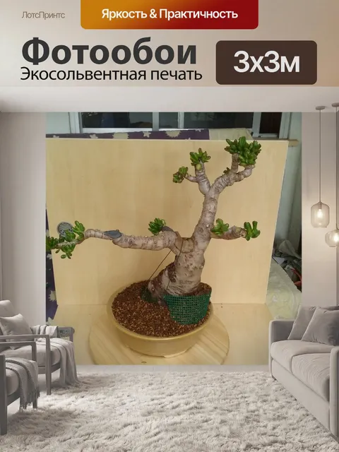 Фотообои карликовое дерево