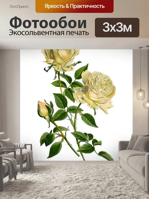 Фотообои Желтая роза винтажная старая