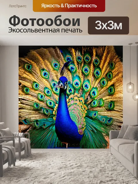 Фотообои живописный павлин расправляет свои великолепные перья