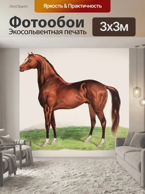 Фотообои Лошадь животные винтажное искусство
