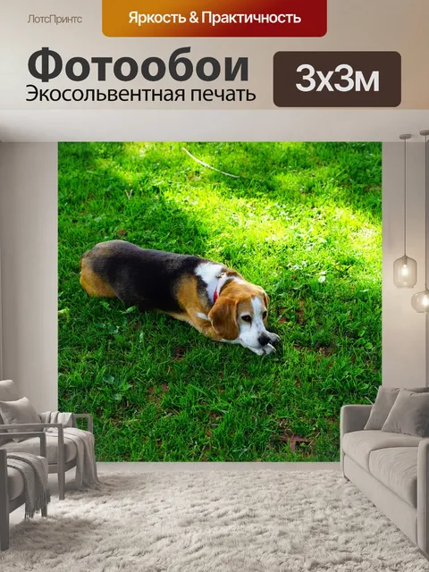 Фотообои Гончая
