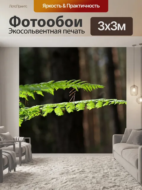 Фотообои Папоротник