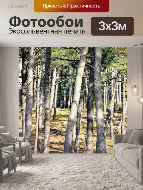 Фотообои Вандея