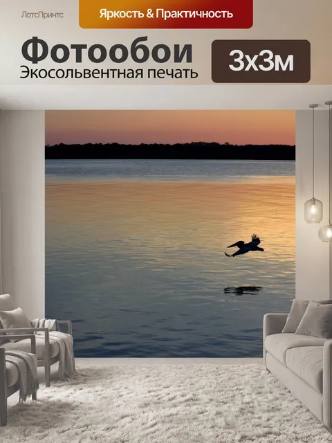 Фотообои Пеликан летит на закате