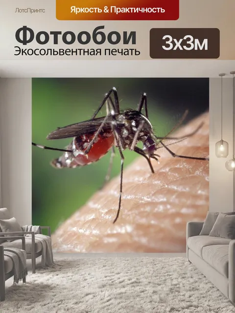 Фотообои Комар
