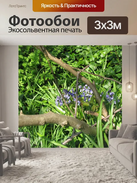 Фотообои Дикие Колокольчики