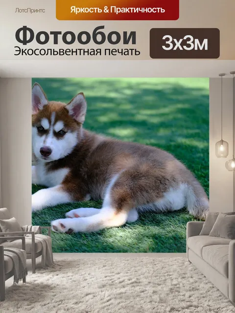 Фотообои Сибирский