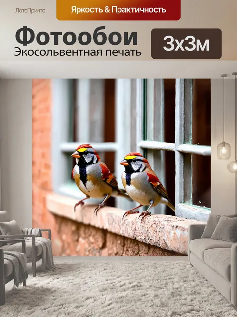 Фотообои венеция, воробьи на фоне старинных окон, техника макросъемки
