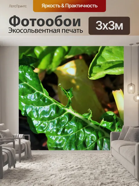 Фотообои ошибка едят шпинат