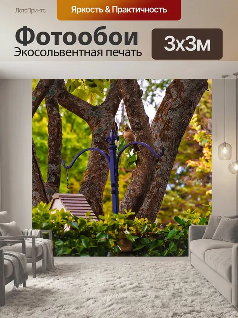 Фотообои Летний день