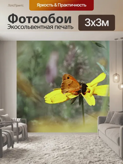 Фотообои Бабочка