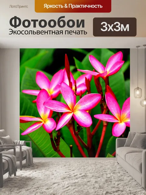 Фотообои Цветок