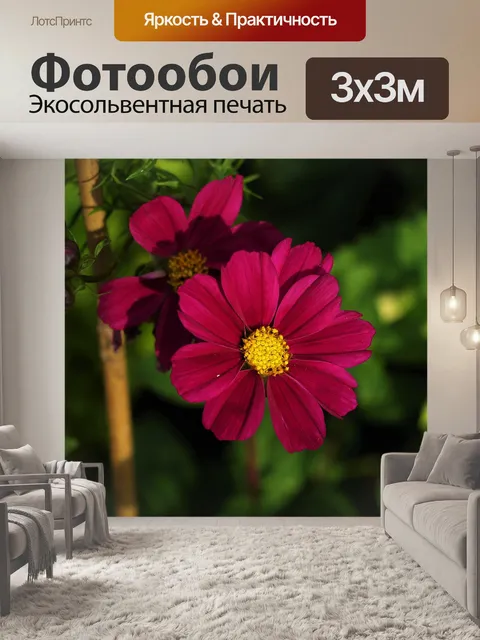 Фотообои Цветок