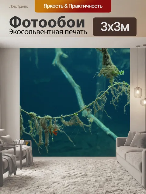 Фотообои Подводный мир