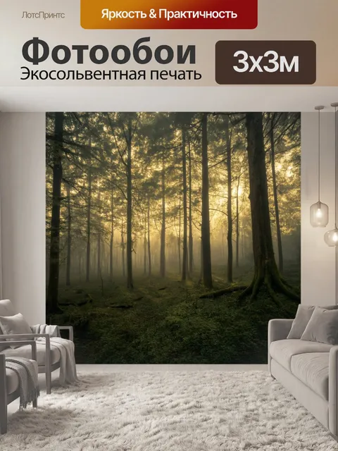 Фотообои лес с туманными деревьями, светящимися в утреннем свете