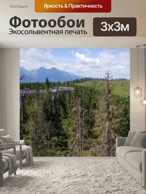 Фотообои Тропа в кронах деревьев
