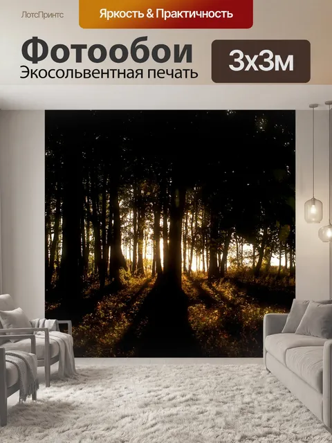 Фотообои Закат сквозь деревья
