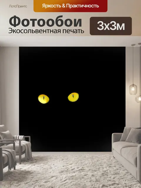 Фотообои Черный кот