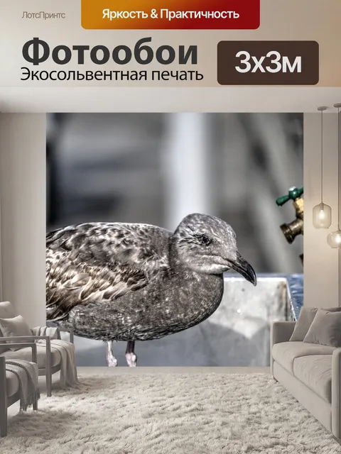 Фотообои Детские чайки и водопроводные краны