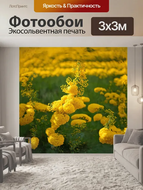 Фотообои плоская композиция яркой мимозы, расположенной на фоне нежно-зеленого весеннего пейзажа