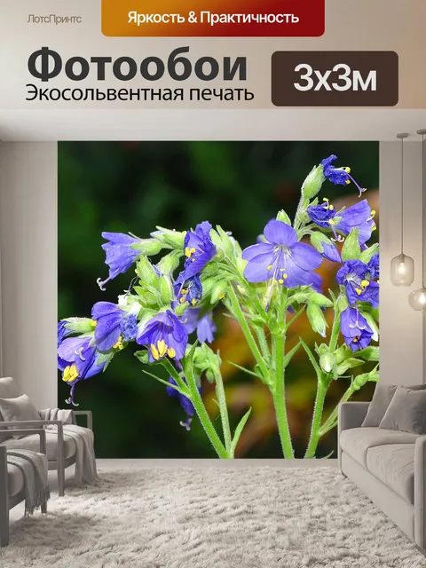 Фотообои Небесная лестница