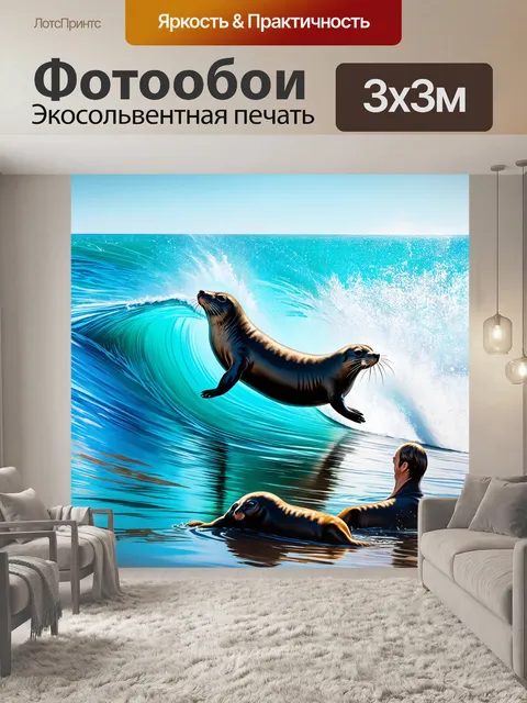 Фотообои картинка с морским котиком