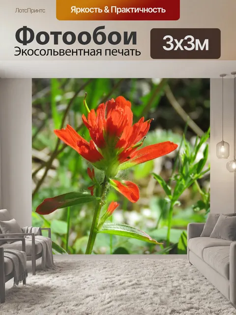 Фотообои Индийская кисть