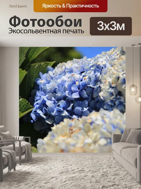 Фотообои Фиолетовая гортензия