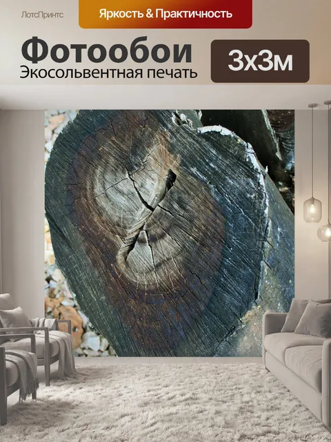 Фотообои белый гравий вокруг мертвой древесины