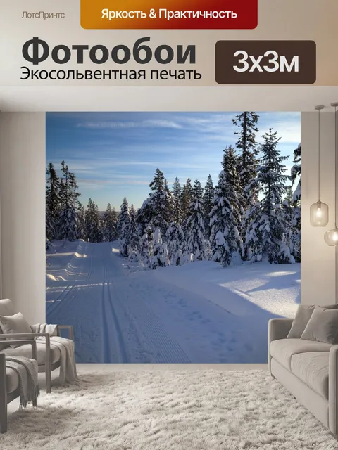 Фотообои Горные лыжи