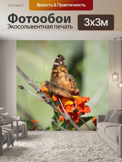 Фотообои Она исчезла, но не меньше американца