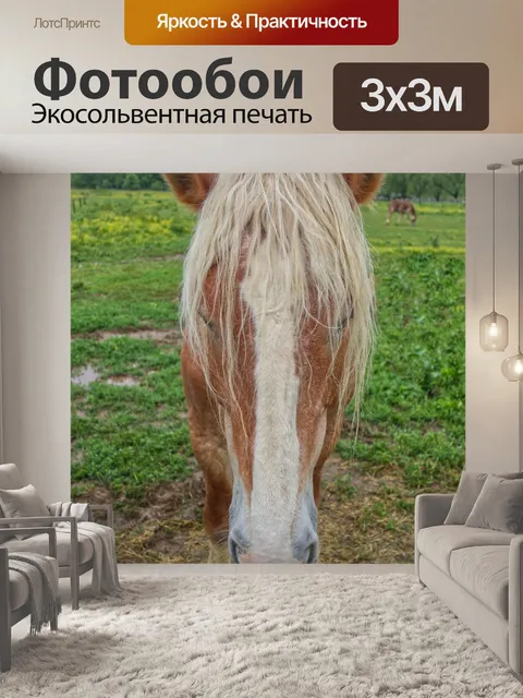 Фотообои Длинношерстная коричневая лошадь