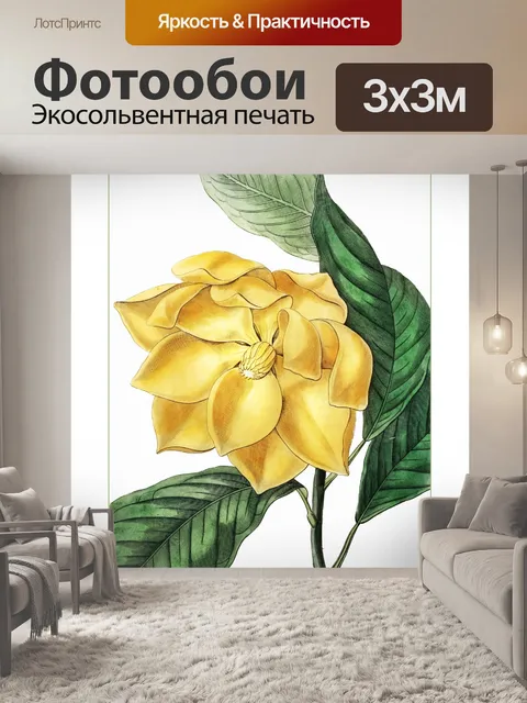 Фотообои Цветок желтый плакат винтаж