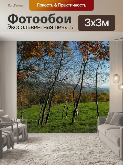 Фотообои Березы
