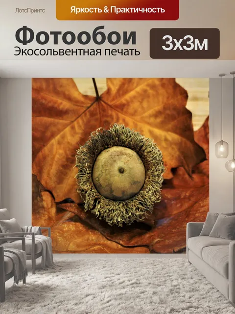 Фотообои Бур желудь на листьях крупным планом