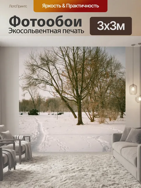 Фотообои Зимний образ, Люблин