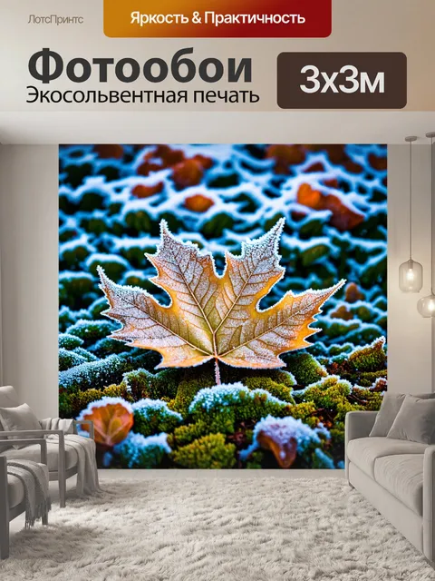 Фотообои листочек, накрытый инеем, сверкающий на морозном свете зимнего утра